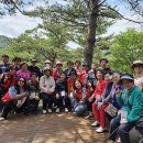 삼척시 노인복지관, 국립 대관령 치유의 숲 “숲 체험교육” 문화 활동 진행 이미지