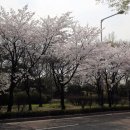 손탁커피공방