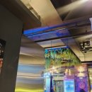 구도로통닭 원주무실점 이미지