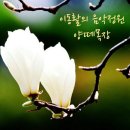 Sory of a true love (진정한 사랑의 이야기)/ Ernesto Cortazar & photo by 모모수계 이미지