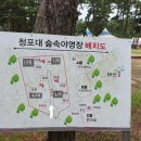 청포대숲속야영장 이미지