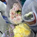 꽃강아지 | 광주 매월동 꽃시장 방문 후기 | 강아지 생일상