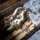 진기농장 이미지