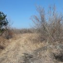 색달동-22 이미지