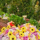 서울동원초등학교병설유치원 이미지