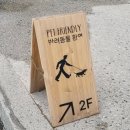 삼화모텔 | 용리단길 애견동반 가볼만한곳 소품샵 패스비 펫프렌들리 놀거리
