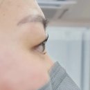 네이처컬렉션달서 | 두류동속눈썹, 티가나뷰티, 대구 달서구 속눈썹펌 추천