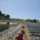 별하농장 이미지