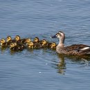 고마운날 이미지