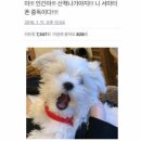 해운대 청사포일다