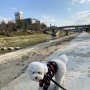 광주다온동물병원 이미지