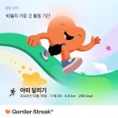 스튜디오디자인밤