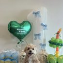 코아페농장 이미지