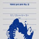 [도서정보] 악마의 눈이 보여주는 것 / 홍종락 / 비아토르 이미지