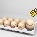 평화당구클럽 Daum카페