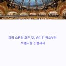 오뜨플로르 | 파리 쇼핑거리 추천, 백화점 vs 부티크 어디가 더 좋을까?