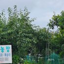 청마농장 이미지