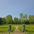 어린이대공원 제5호 이미지