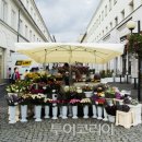 정감어린 이미지