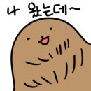 동대문종합시장 악세사리상가 네이버블로그