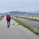 대호2호 태양광발전소 이미지