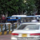 삼양교통(주) 이미지