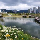 한신더휴1차 앞(1) 이미지