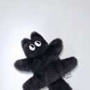 스튜디오모도리