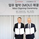 매혹하다