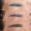 미샵 이미지