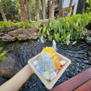 아이스마켓 이미지