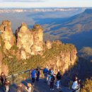 블루마운틴 이미지