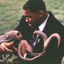 J.K 농장 이미지