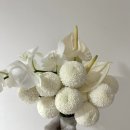 광명지타워한의원 | 광명부케말리기 오브제담다 후기｜퐁퐁소국 부케로 완성한 사각무드등·소울반지함 결혼선물