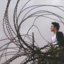 두타연이목정관광안내소 | 날 것 그대로의 자연을 품은, 양구 두타연