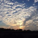 오즈의목장 이미지