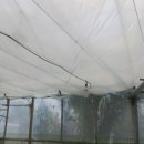 호산나화원 이미지