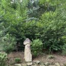 큰황골가든 | 대둔산 운주계곡: 큰황골가든 평상대여 후기