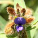 2010. 7. 19 서울타임즈 251호 이미지