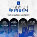 압구정성모안과 네이버블로그