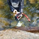 지리산뱀사골 맑은물 펜션 이미지