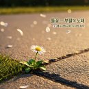 서초중앙로24길 55 이미지