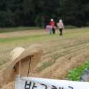 화성농장 이미지