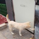 논개6(암). 이미지