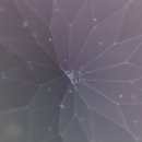 코팅나라 이미지