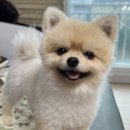 라이트앤쏠트 이미지