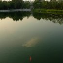 꿈의 정원 이미지