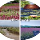 번성농장 이미지