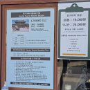 문화교통(주) | 부여 백제문화단지 벚꽃 이번주 만개｜아이와 가볼만한곳 후기