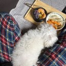 오도체육관 | [운동 기록]11/24~11/30 운동 및 식사 기록